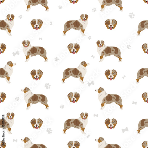 Australian shepherd seamless pattern. Background Aussie set