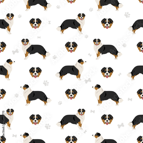 Australian shepherd seamless pattern. Background Aussie set