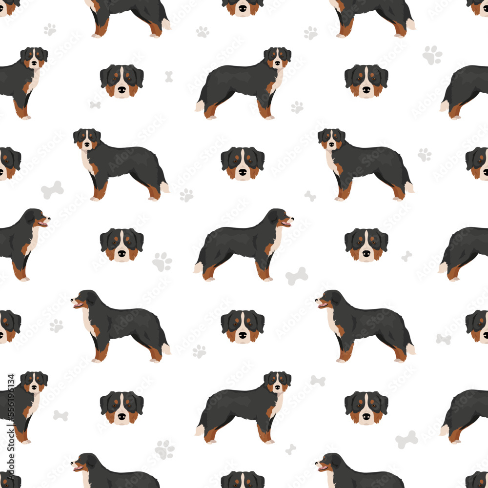 Bernese Mountain dog seamless pattern