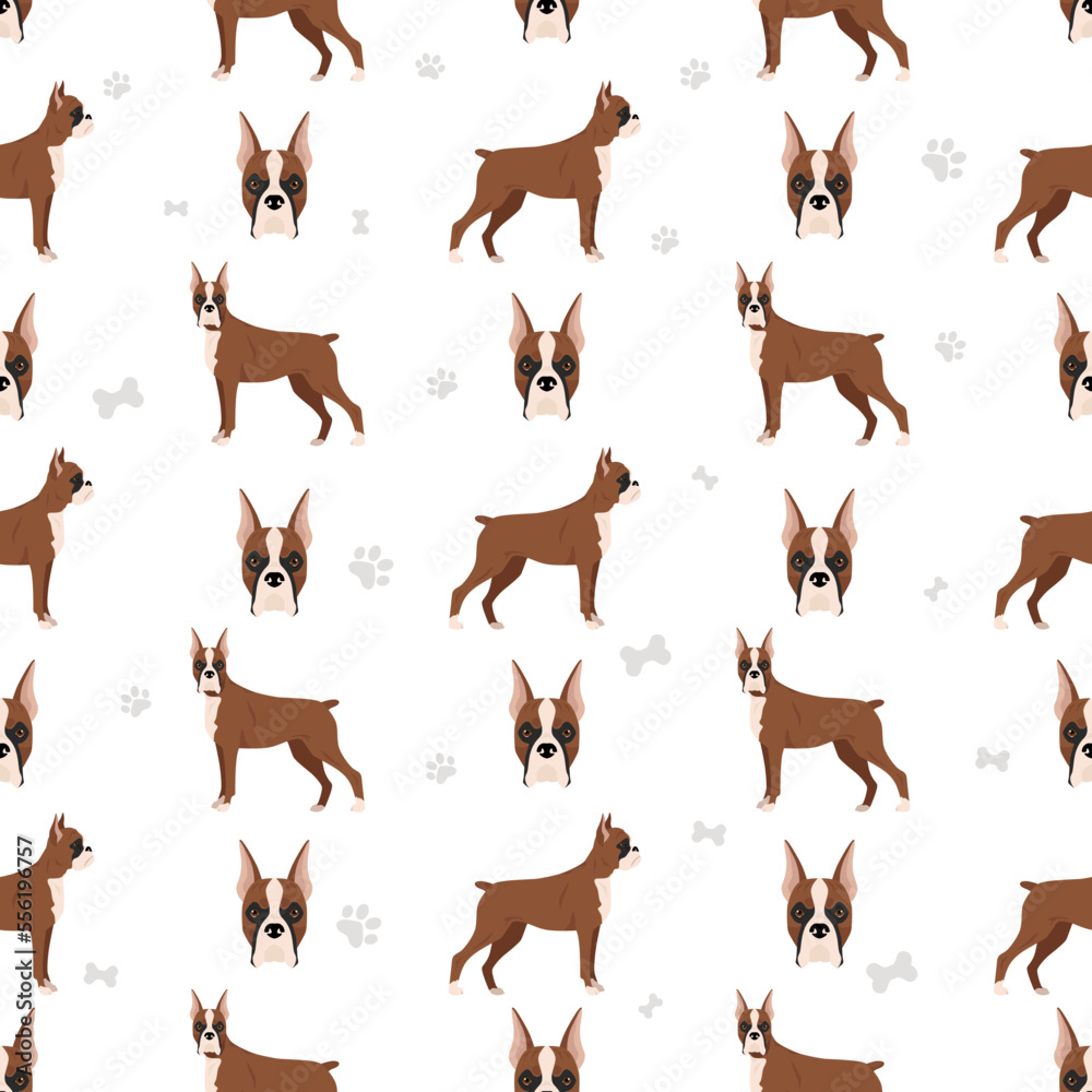 Boxer dog seamless pattern Boxer dog seamless pattern