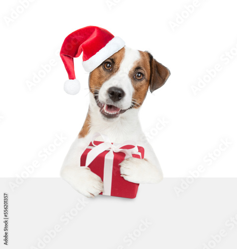 Happy Jack russell terrier puppy wearing santa hat holds gift box and looks above empty white banner. isolated on white background © Ermolaev Alexandr