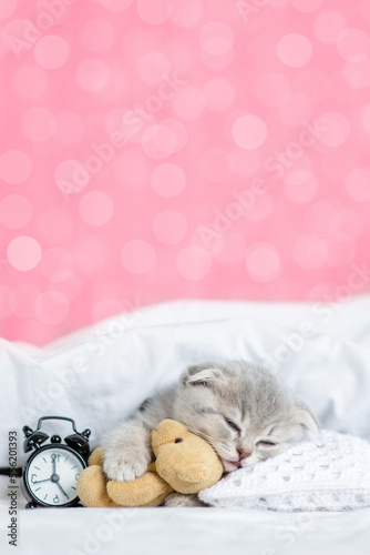 Cute kitten sleeps on pillow under white blanket on a bed at home on festive background and hugs favorite toy bear. Empty space for text. Shade trendy color of the year 2023 - Viva Magenta background