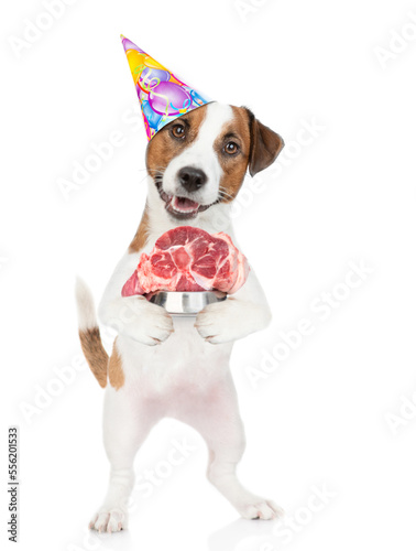 Jack russell terrier holds bowl of raw meat. isolated on white background © Ermolaev Alexandr