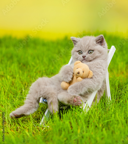Funny cat hugs a toy bear and enjoys relaxing in the armchair on the summer grass