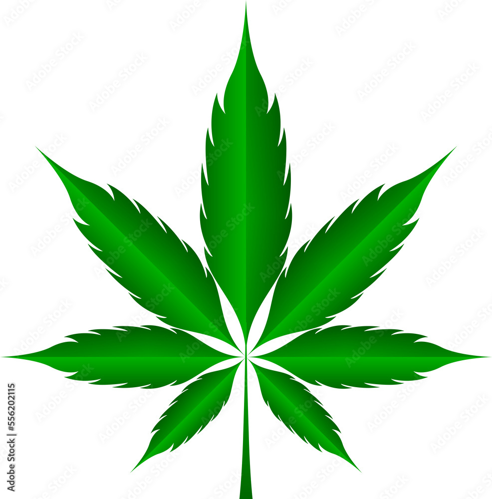 cannabis marijuana weed leaves