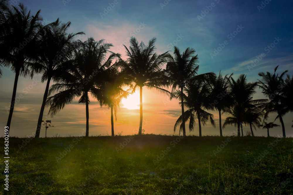 Obraz premium palm trees at sunset