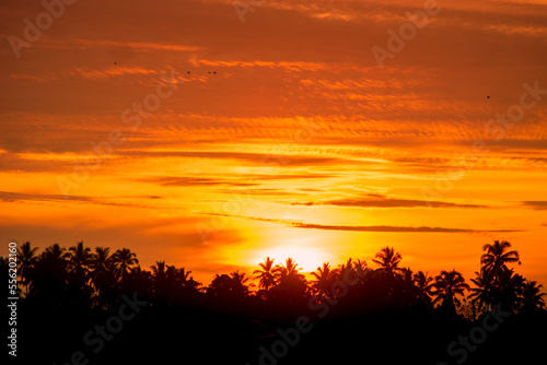 sunset over the field