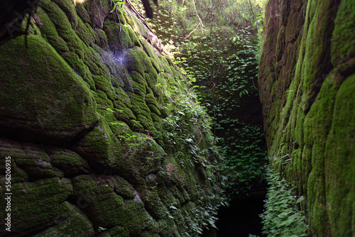 Naga cave, Amazing of Naga scales rock stone mountain in Phu Langka National Park, Bueng Kan of Thailand.  photo