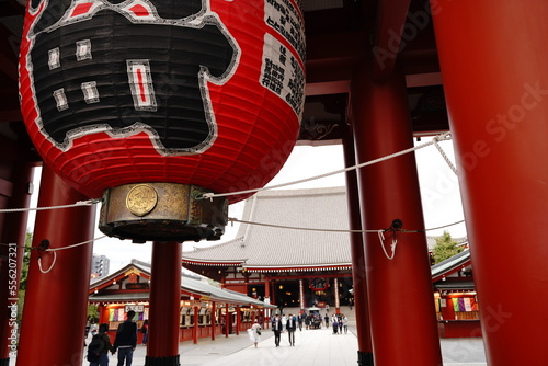 浅草寺、せんそうじ、浅草、都内最古、寺、金龍山浅草寺、きんりゅうざんせんそうじ、金龍山、仲見世、通り、おみやげ、土産屋、赤い、赤ちょうちん、提灯、ぞうり、草履、看板、アウトフォーカス、観光名所、観光、旅行、東京、日本、あさくさ、鬼瓦、マグネット、人、信仰、初詣、お参り、お寺、五重塔、空、青い、龍、木彫り、木彫りの龍、みくじ、フォーチュン、カラフル、アジア、
 photo