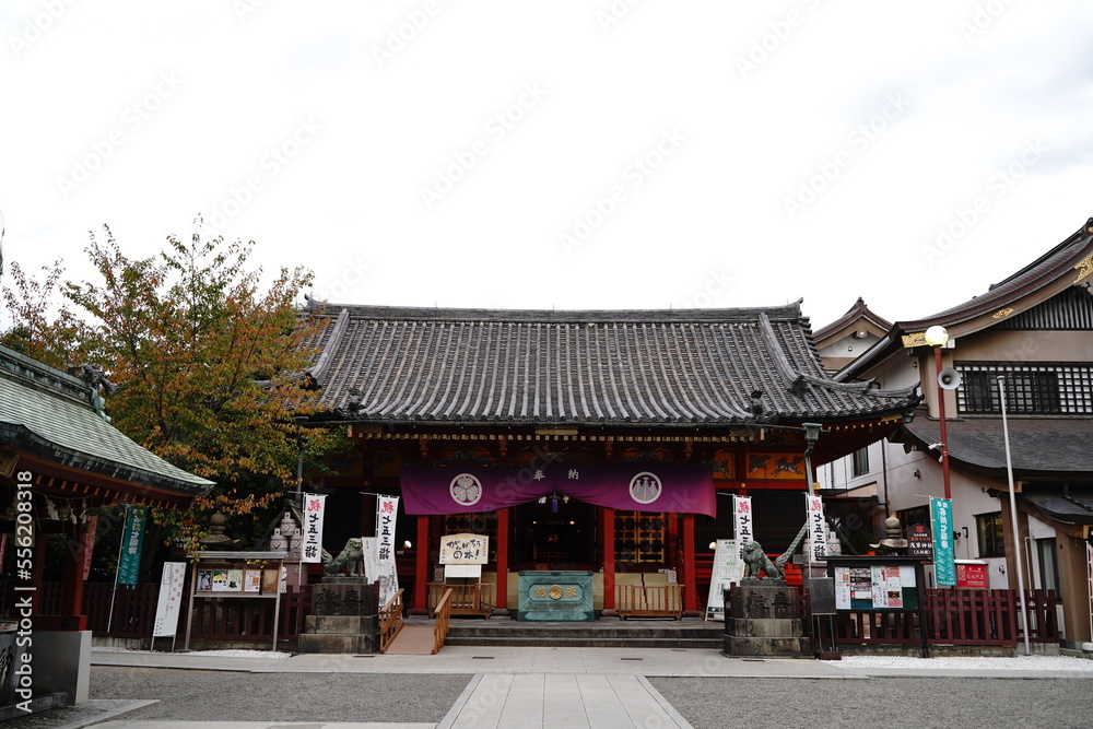 浅草神社、あさくさ、神社、浅草、寺、狛犬、聖犬、観光名所、観光、旅行、東京、日本、あさくさ、信仰、初詣、お参り、お寺、空、青い、龍、カラフル、アジア、鳥居、建物、看板、石、門、神社、神道、