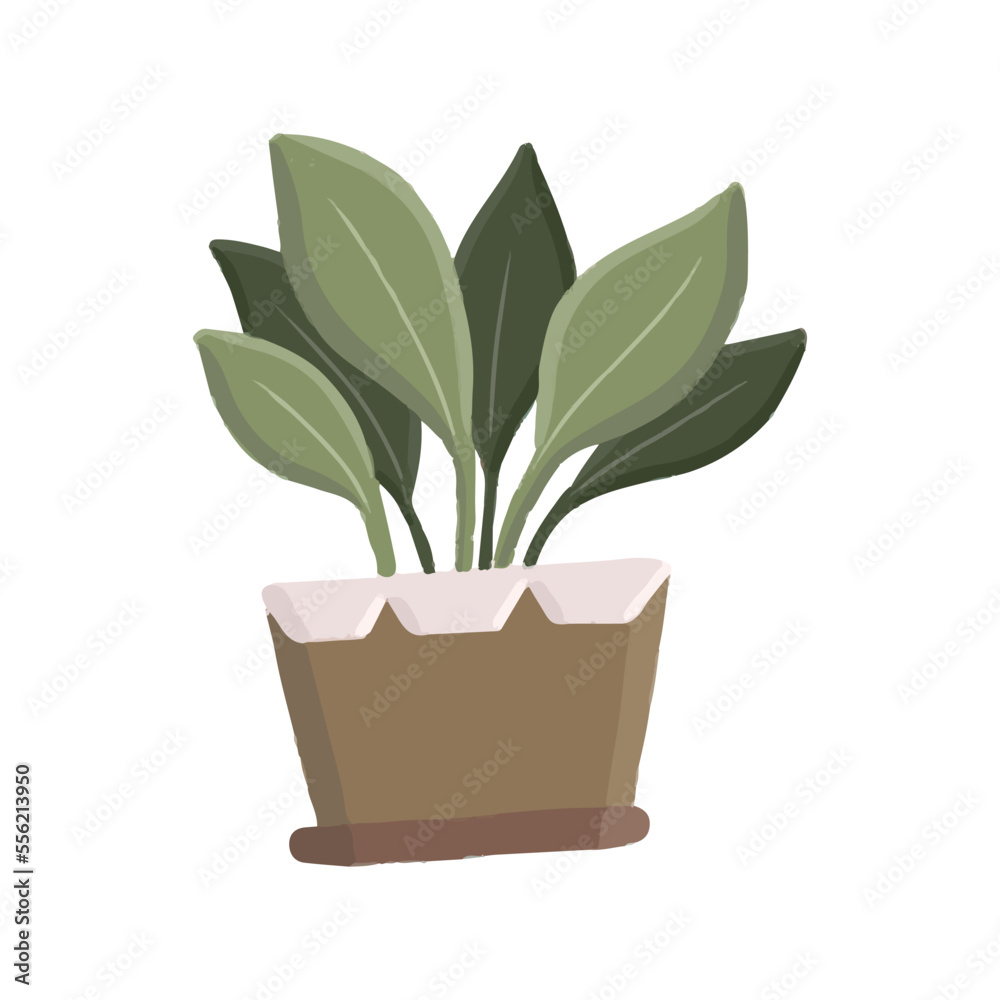 Decorative plants in pots, including a variety of succulents and houseplants, on a shelf in a modern living room Decorative plants in pots, including a variety of succulents and houseplants, on a shelf in a modern living room
