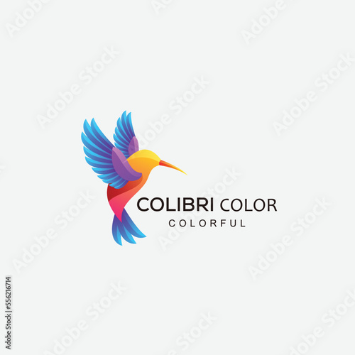 colibri bird logo gradient colorful vector