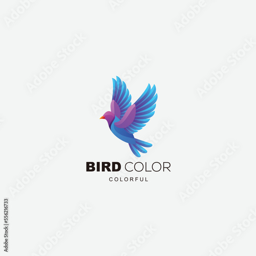 bird logo design vector gradient colorful © Norin