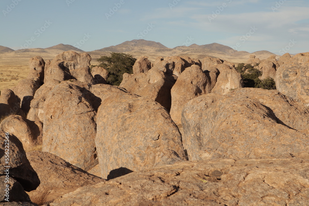 beautiful landscape city of rocks New Mexico, USA