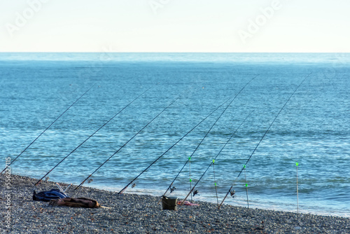 Lot of fishing rods lined up on the seashore. Large-scale fishing during the fish spawning season