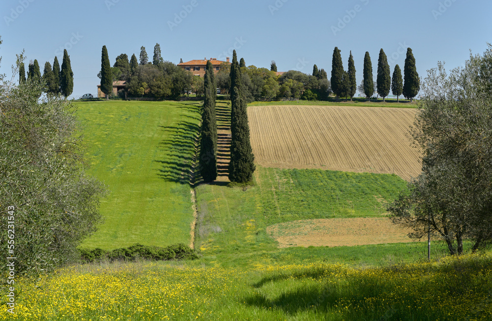 View on the traditional Tuscan farm amidst green rolling hills