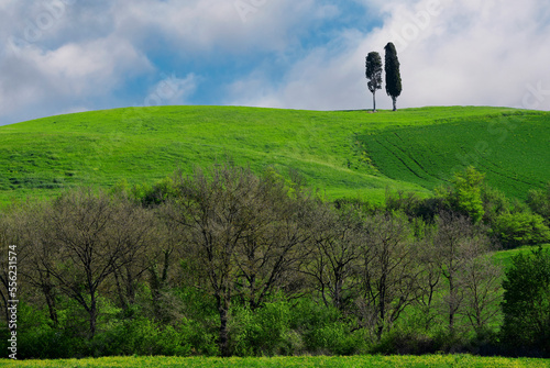 Spring rolling hills of Val d'Orcia 