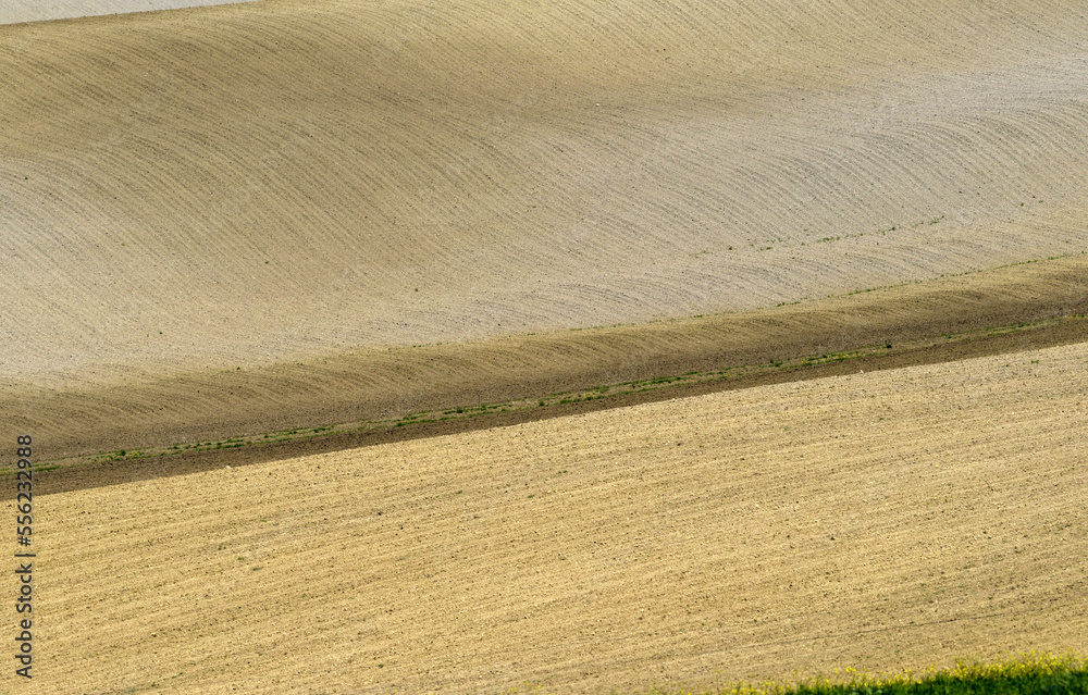 Ploughed hills of Tuscany on a spring day