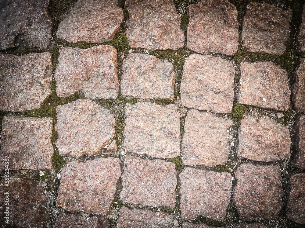 close up. Cobblestone pavement with moss growing between the stones close up. Cobblestone pavement with moss growing between the stones