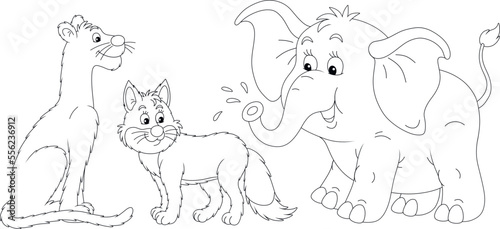 Cartoon set of funny wild animals with a panther  a sly fox and a friendly smiling little elephant  black and white outline vector illustrations for a coloring book