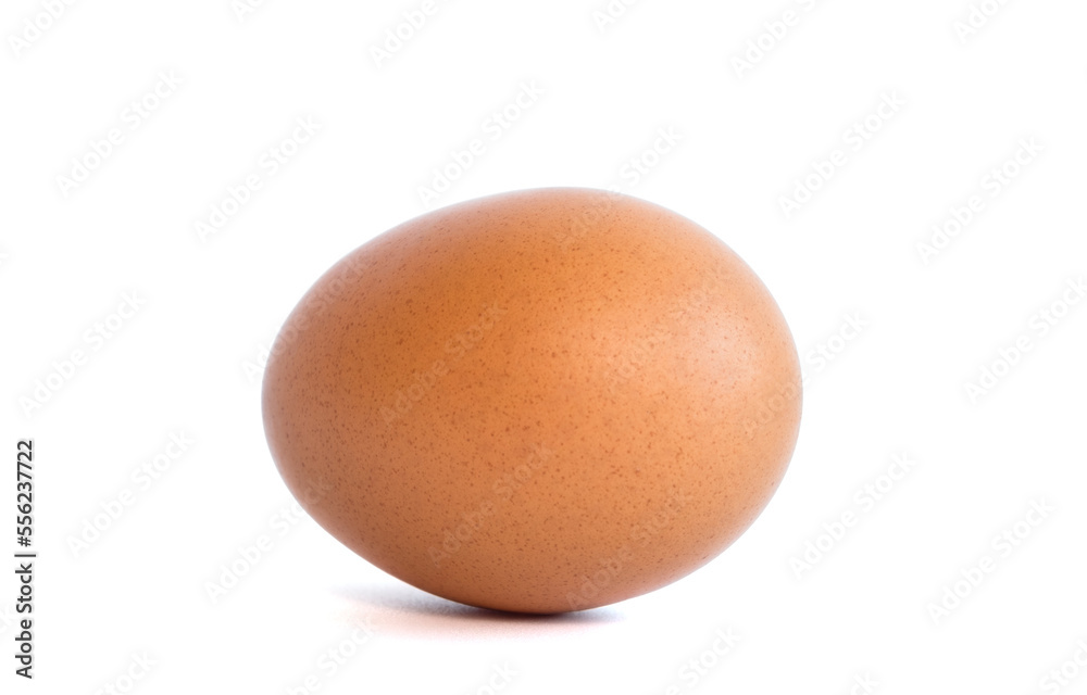 fresh brown chicken egg isolated on white background fresh brown chicken egg isolated on white background