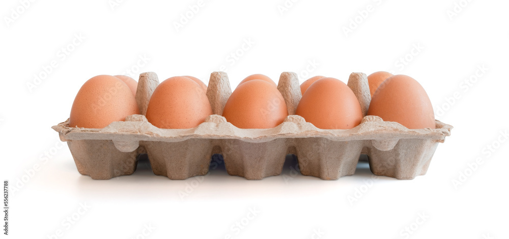 egg tray with fresh brown eggs isolated on white background, clipping path. Fresh organic chicken eggs in carton box. egg tray with fresh brown eggs isolated on white background, clipping path. Fresh organic chicken eggs in carton box.