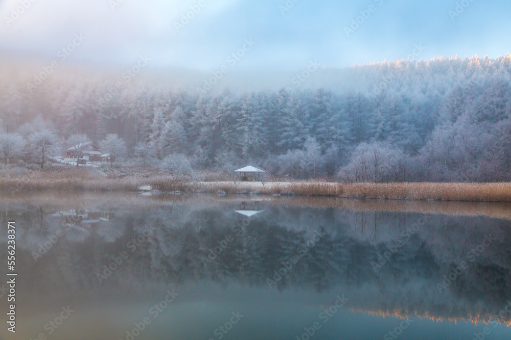 聖高原中牧湖から湖面に映る霧氷のカラ松林と青空