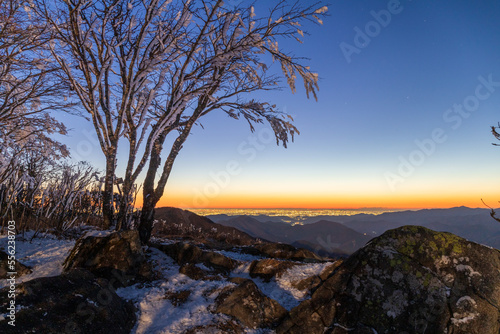 冬の白谷ノ丸山頂から夜明けの光に染まる関東平野と樹氷 © Umibozze