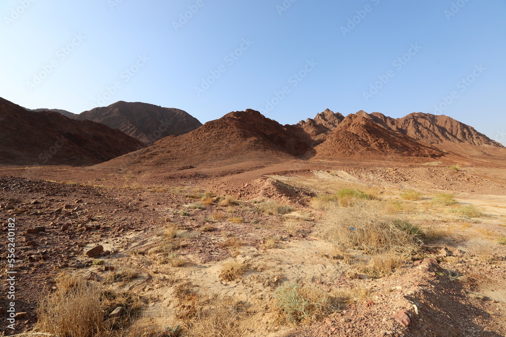 The Negev is a desert in the Middle East, located in the south of Israel. The Negev is a desert in the Middle East, located in the south of Israel.