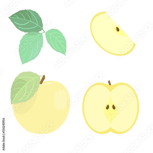 Yellow apple whole half with pits in a section and a slice of leaves set on a white background, digital drawing.