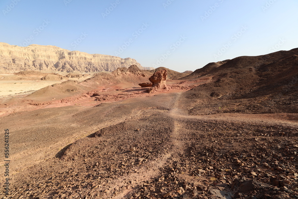 The Negev is a desert in the Middle East, located in the south of Israel.