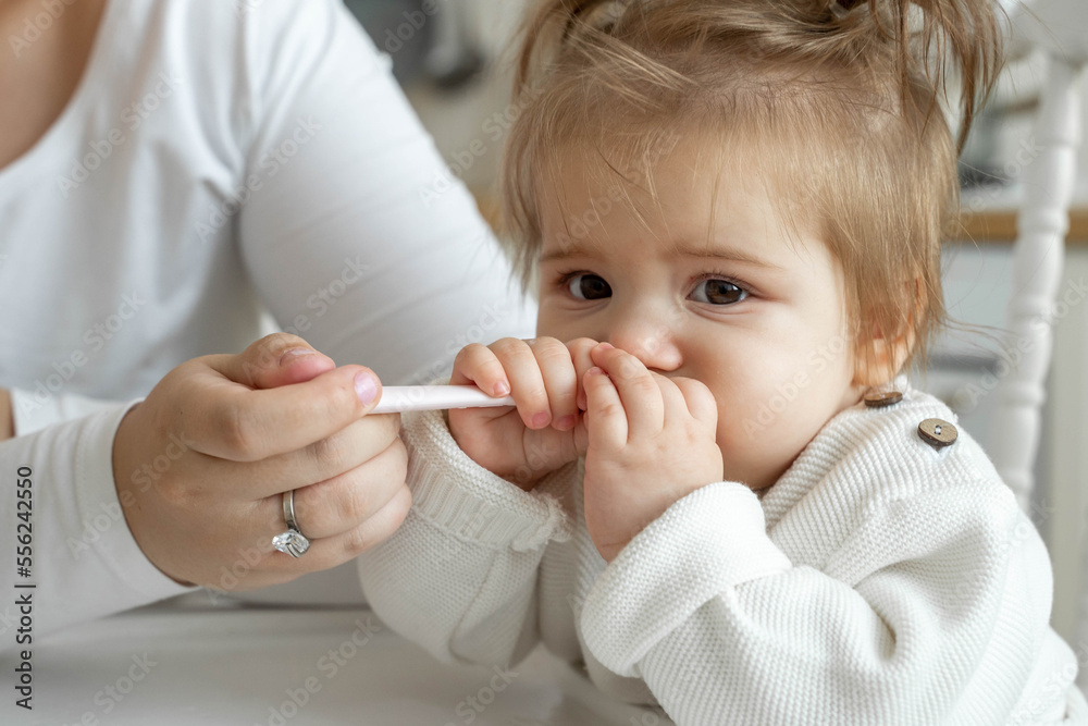 Baby girl eating blend mashed food sitting, on high chair, mother feeding child, hand with spoon for vegetable lunch, baby weaning, first solid food for kid. Healthy eating for baby humans Baby girl eating blend mashed food sitting, on high chair, mother feeding child, hand with spoon for vegetable lunch, baby weaning, first solid food for kid. Healthy eating for baby humans