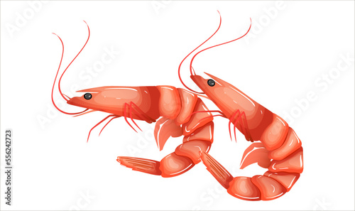Shrimp icon isolated on white background. Seafood red prawns boiled for dish. Fresh ocean ingredient collection for restaurant menu. Two shrimps with shell and claw. Realistic flat vector illustration
