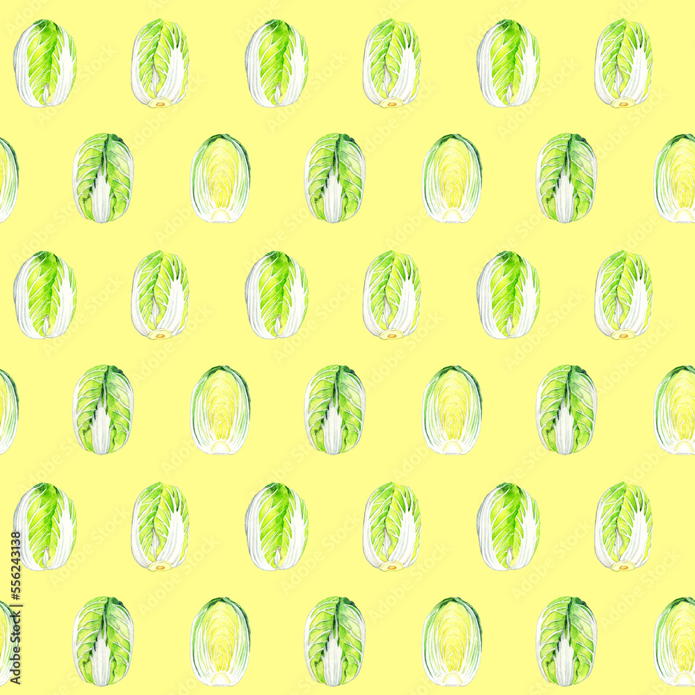 白菜のパターン　手描き水彩イラストの野菜柄