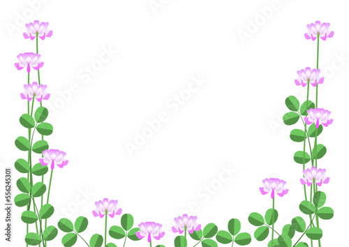Frame of milk vetches in bloom