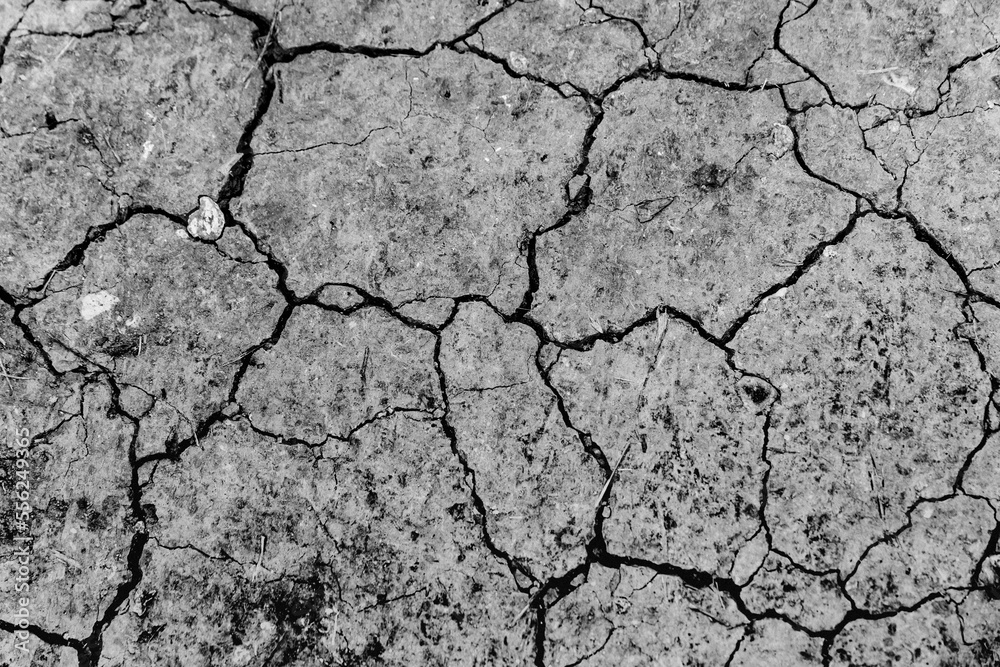 Land dry due to lack of rain. Land dry due to lack of rain.