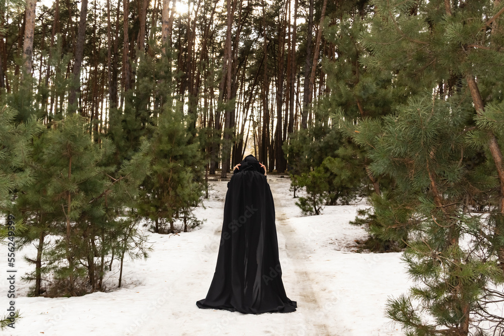 Blonde woman in a black cloak with a hood in winter in a pine forest. Female in cloak with hood from the view from the back side Blonde woman in a black cloak with a hood in winter in a pine forest. Female in cloak with hood from the view from the back side