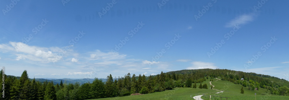 Fototapeta premium piękny letni widok na Beskid Żywiecki 