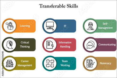 Transferable skills with icons in an infographic template