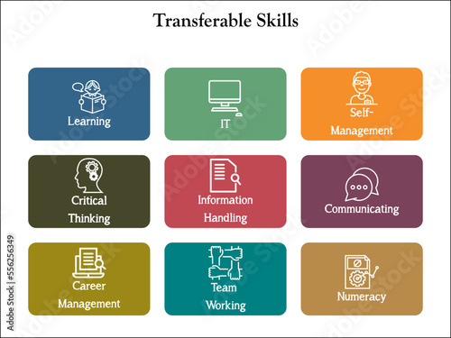 Transferable skills with icons in an infographic template