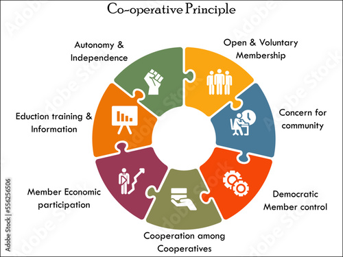 Cooperative principle with icons in an infographic template
