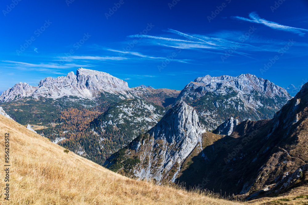 Autumn colors are exploding in the woods of Carnic Alps