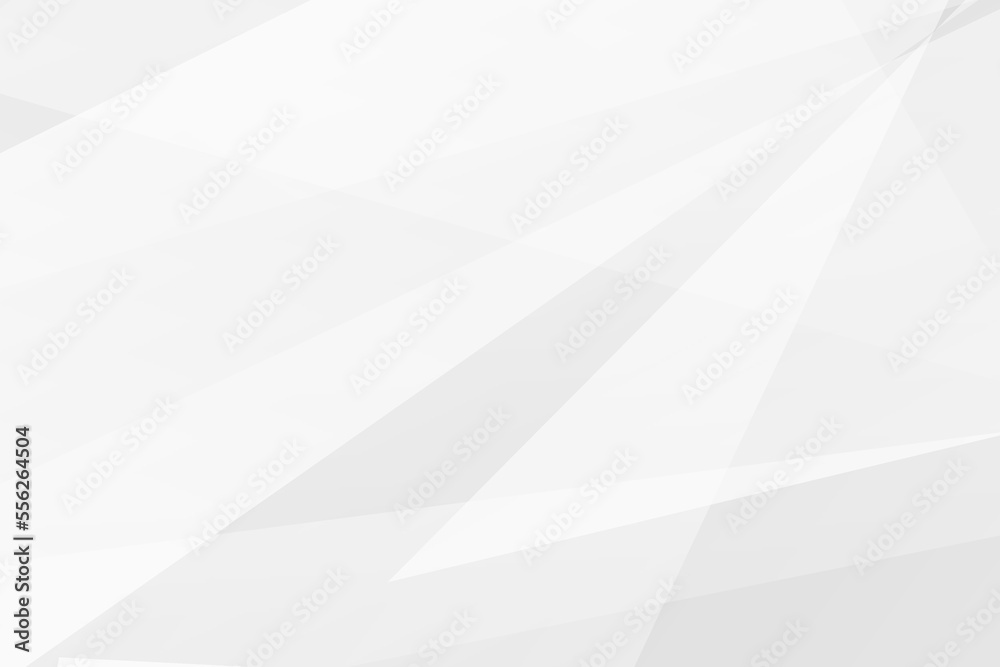 Abstract white and grey on light silver background modern design. Vector illustration EPS 10.