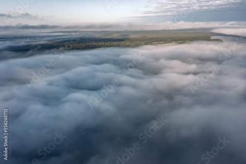 Aerial view of dense pine forest, field and lake covered with ribbons of low fog, Karelia, Russia