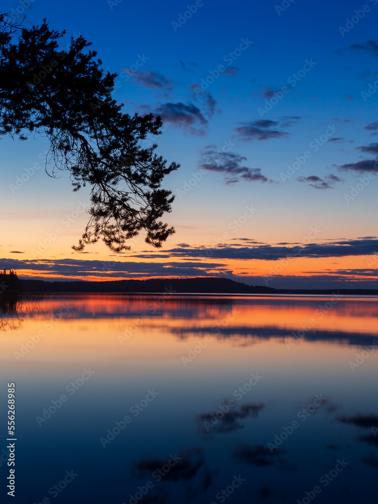 Sunset with pine branch silhouette and colorful clouds reflecting in still lake water Karelia Russia