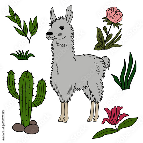 Cartoon vector llama, colorful flowers, green grass, and leaves. Colorful clipart alpaca on the lawn