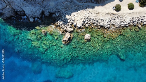 Anthony Quinn Bay