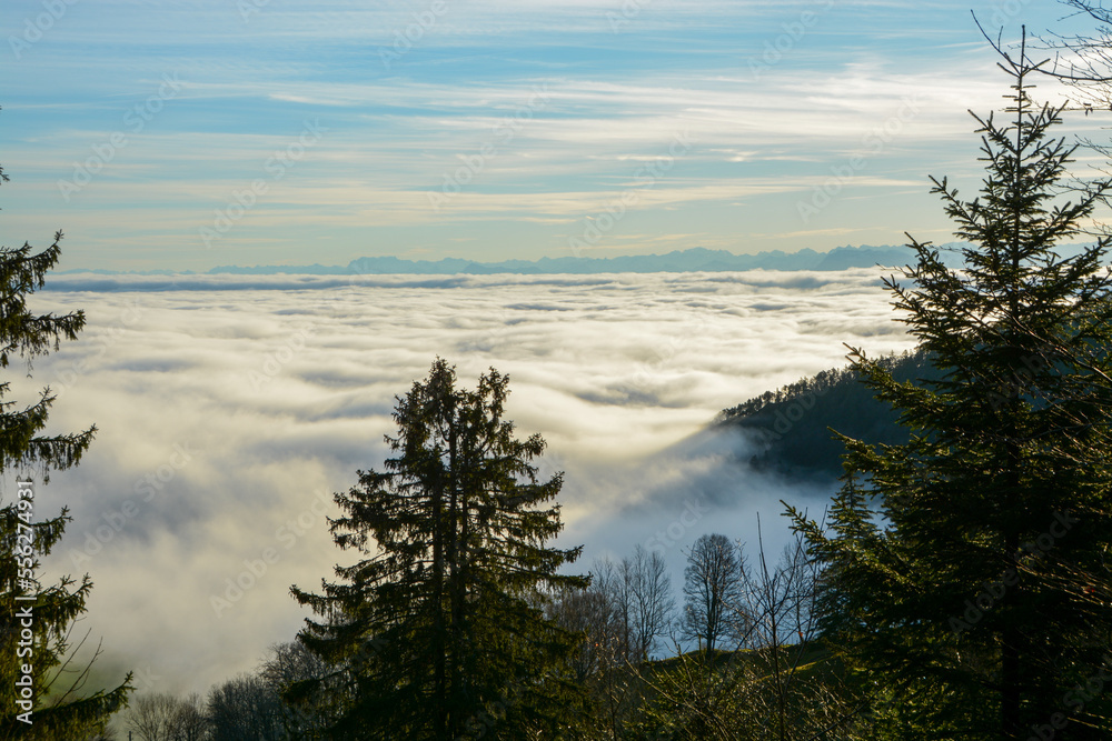 View on mount säntis, far away at the horizon, above a sea of clouds, from Röti peak in Solothurn Jura, Switzerland