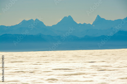 Panoramic view of Wetterhorn  Schreckhorn and Finsteraarhorn in the Swiss Alps  above a sea of clouds and fog  view from R  ti peak in Solothurn Jura  Switzerland