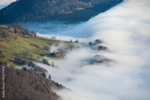 Beautiful view of fog climbing up the hill and capturing trees and houses behind a white soft curtain, Balmberg, Solothurn Jura, Switzerland